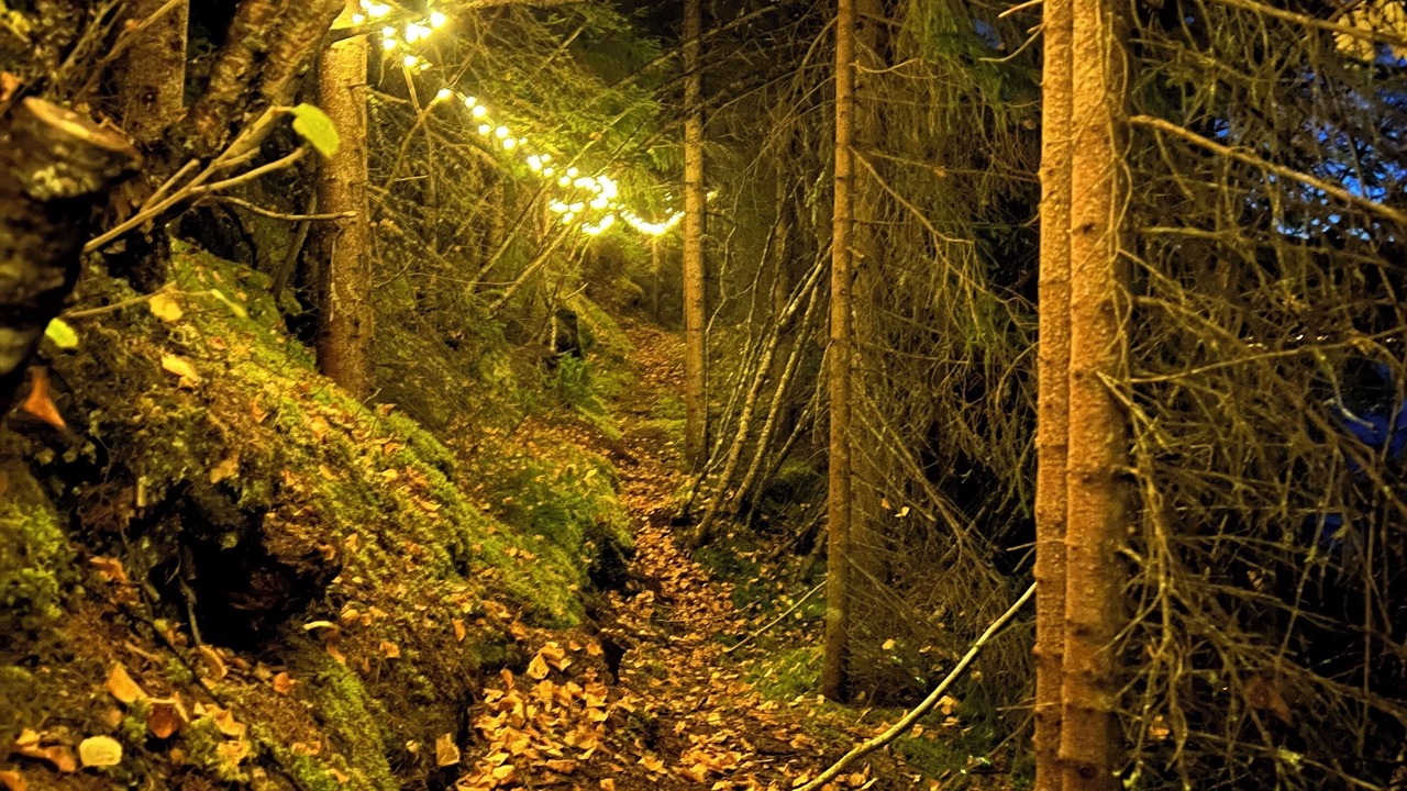 Photo of Outdoor in Dyry
