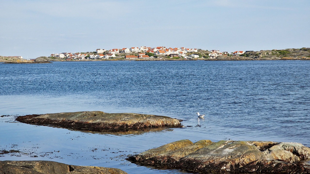 Photo of Outdoor in Hono