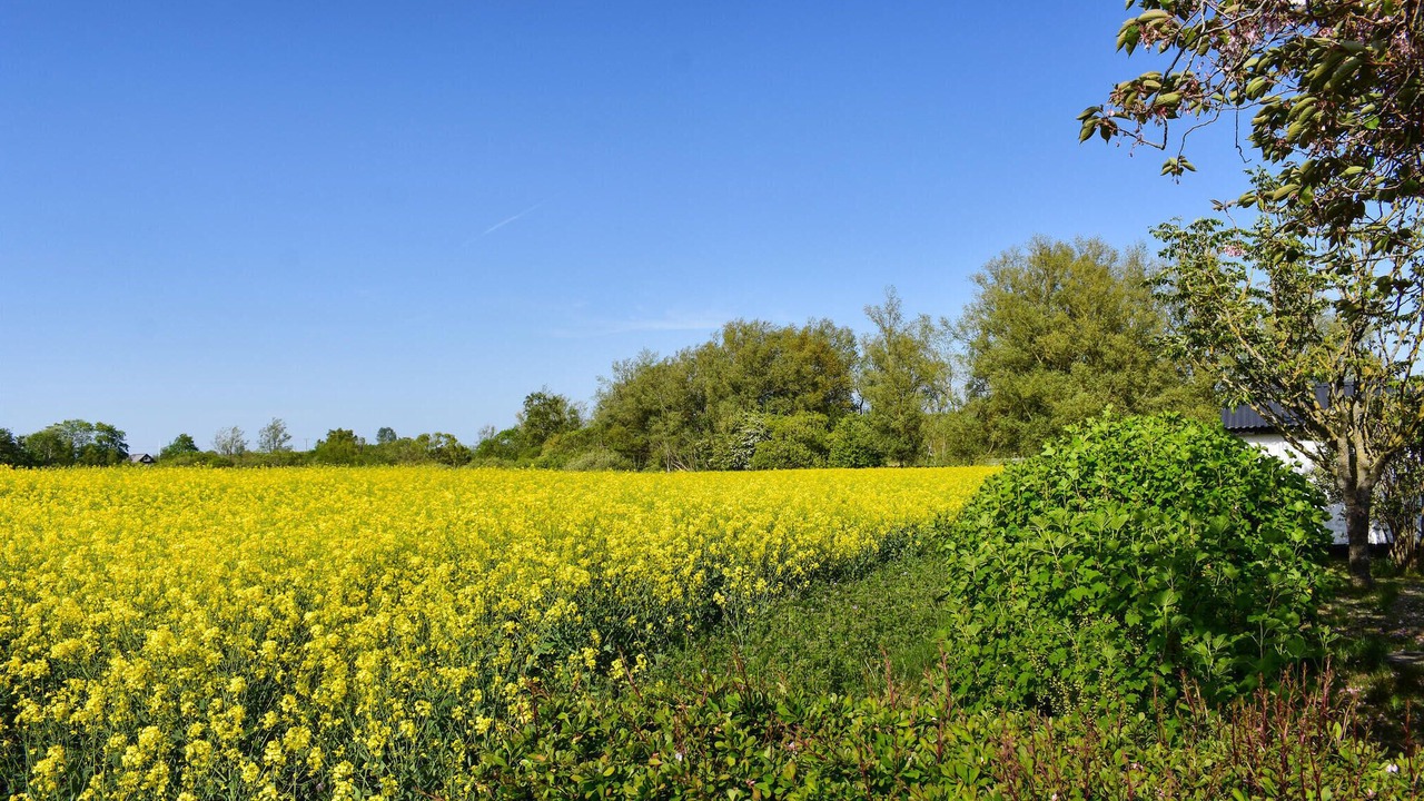 Photo of Others in Borrby