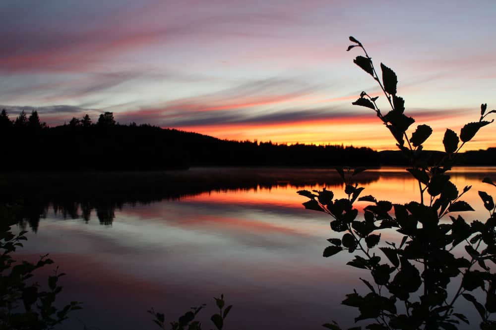 Photo of Others in Svardsjo