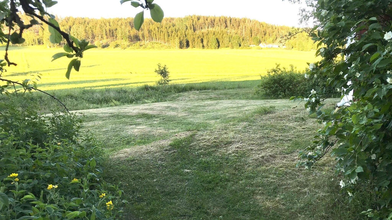 Photo of Others in Tystberga