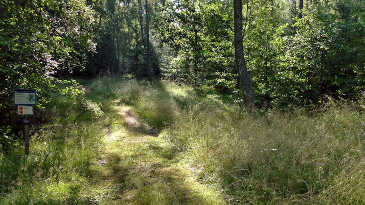 Photo of Outdoor in Nynashamn