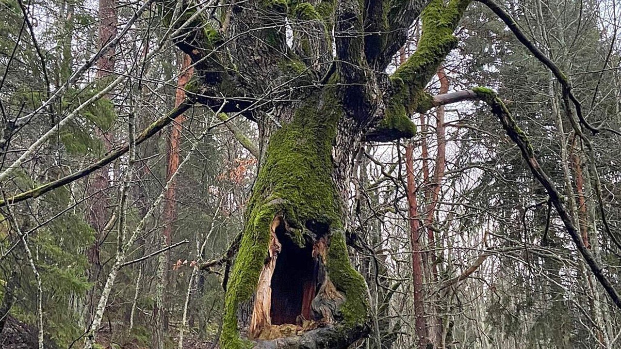 Photo of Outdoor in Nynashamn
