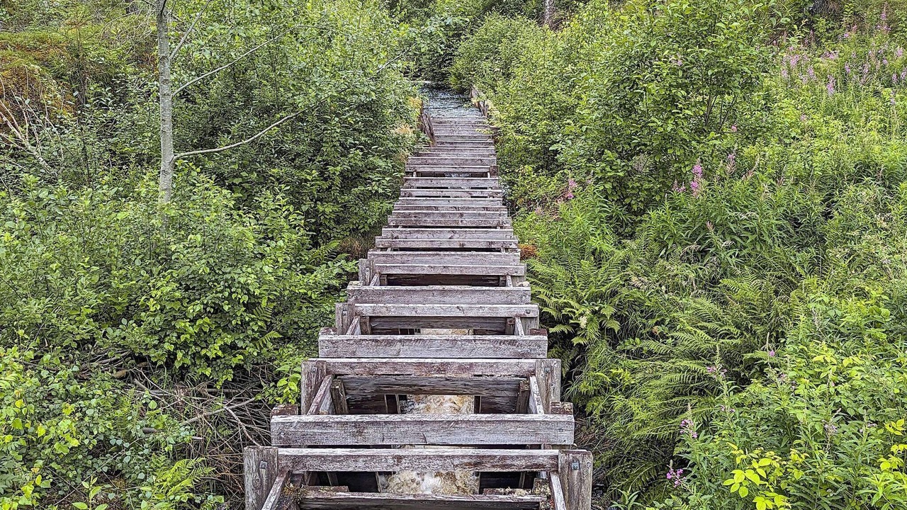 Photo of Outdoor in Syssleback