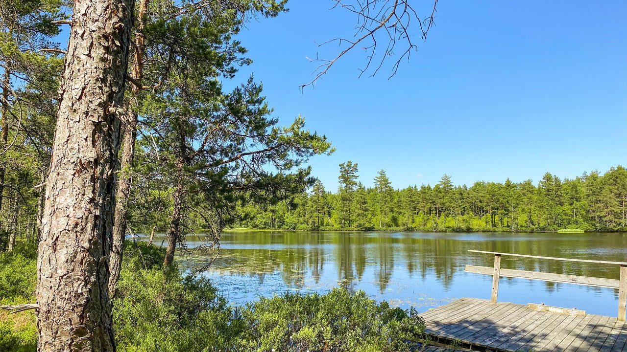 Photo of Outdoor in Lammhult