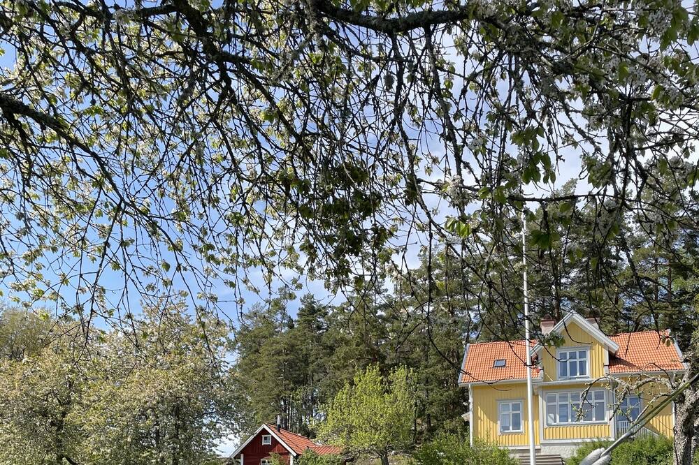 Photo of Outdoor in Osmo