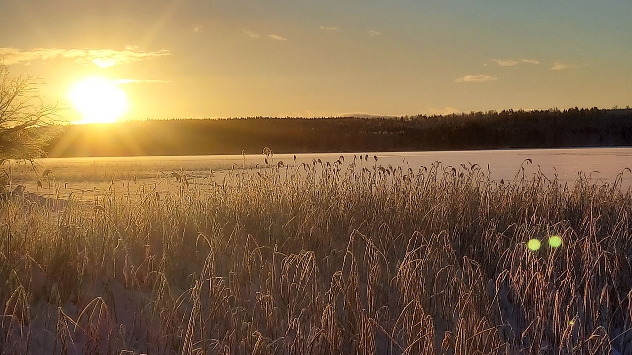 Photo of Outdoor in Follinge