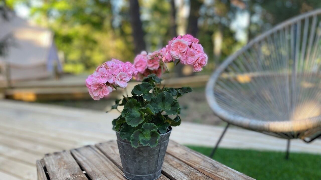 Photo of Outdoor in Mariefred