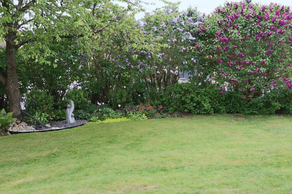 Photo of Outdoor in Falkenberg