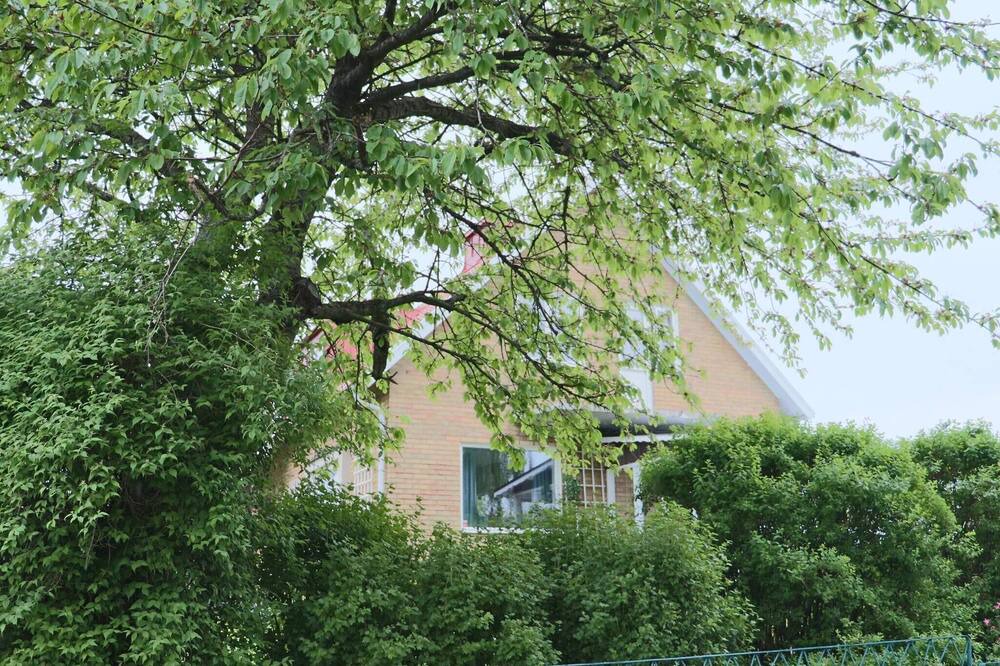 Photo of Outdoor in Falkenberg