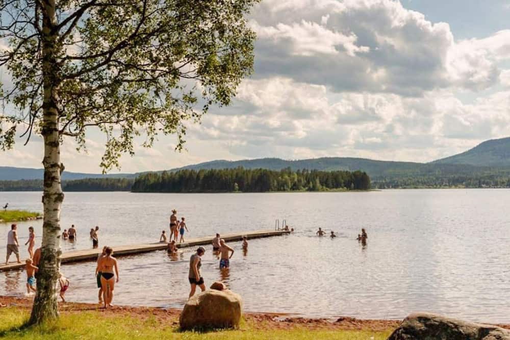 Photo of Others in Solleron