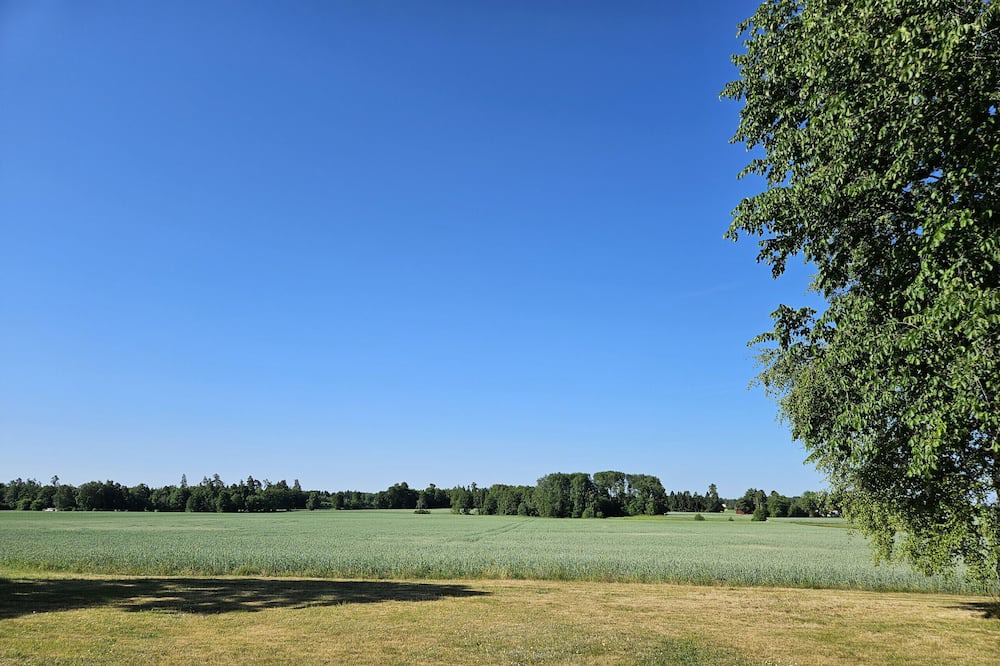 Photo of Others in Vedum