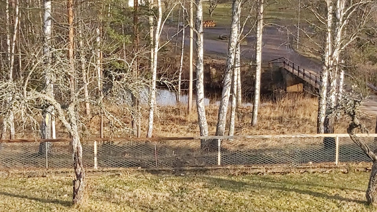 Photo of Outdoor in Silverdalen