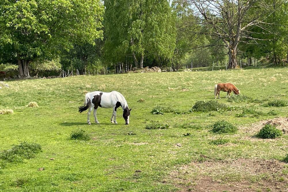 Photo of Outdoor in Stromsnasbruk