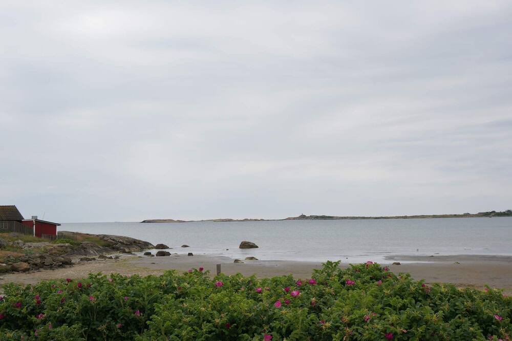 Photo of Others in Traslovslage