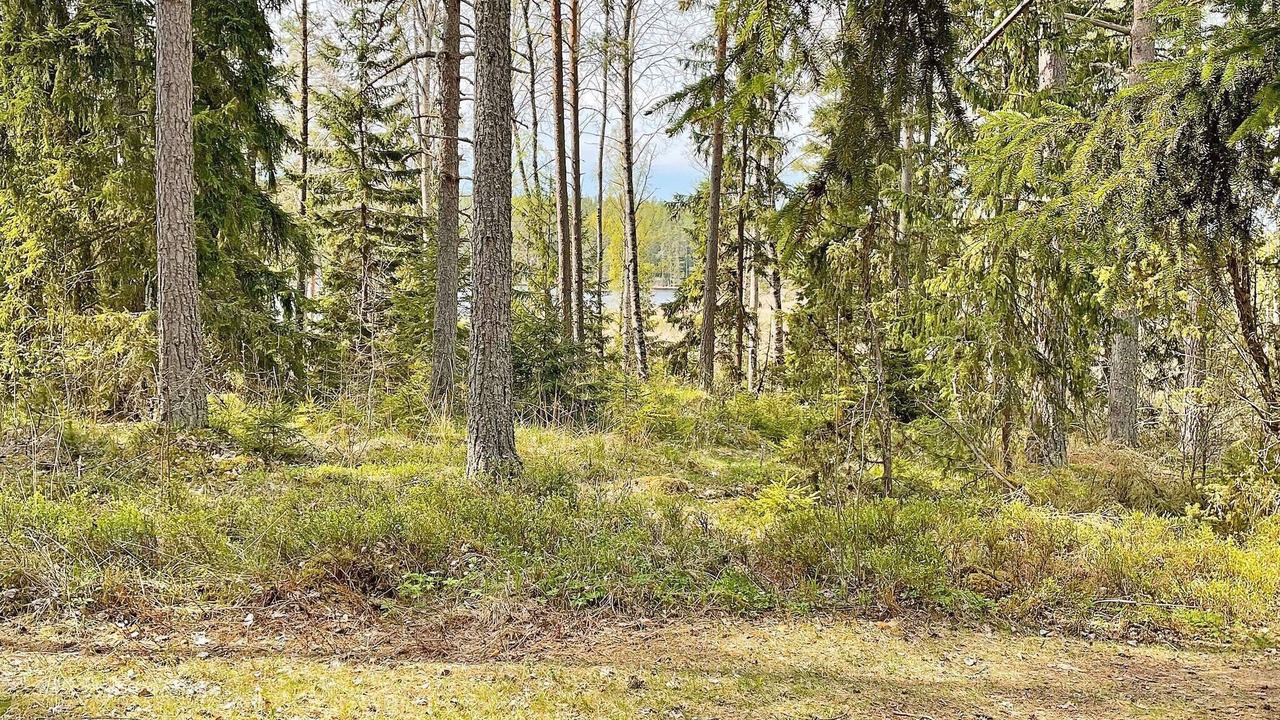 Photo of Outdoor in Nykvarn