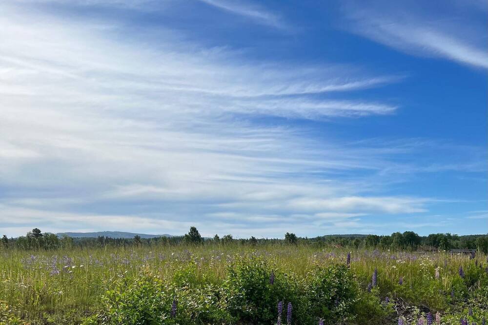 Photo of Outdoor in Svardsjo