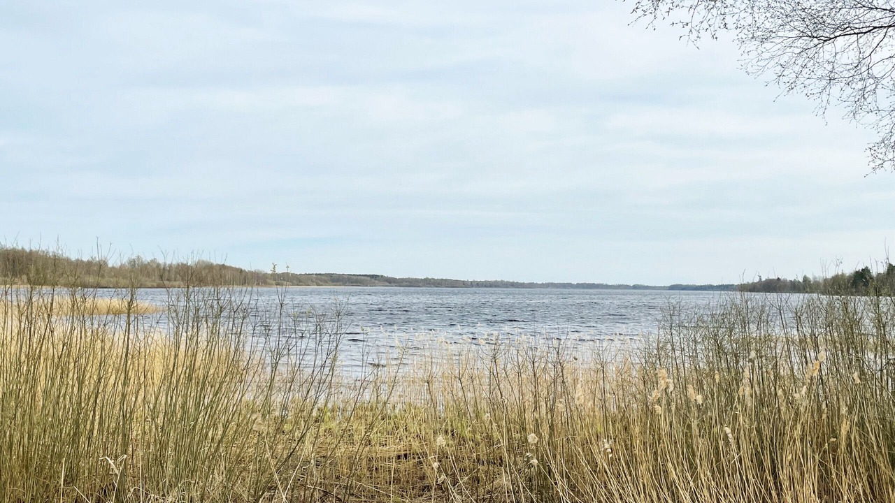 Photo of Outdoor in Ryssby