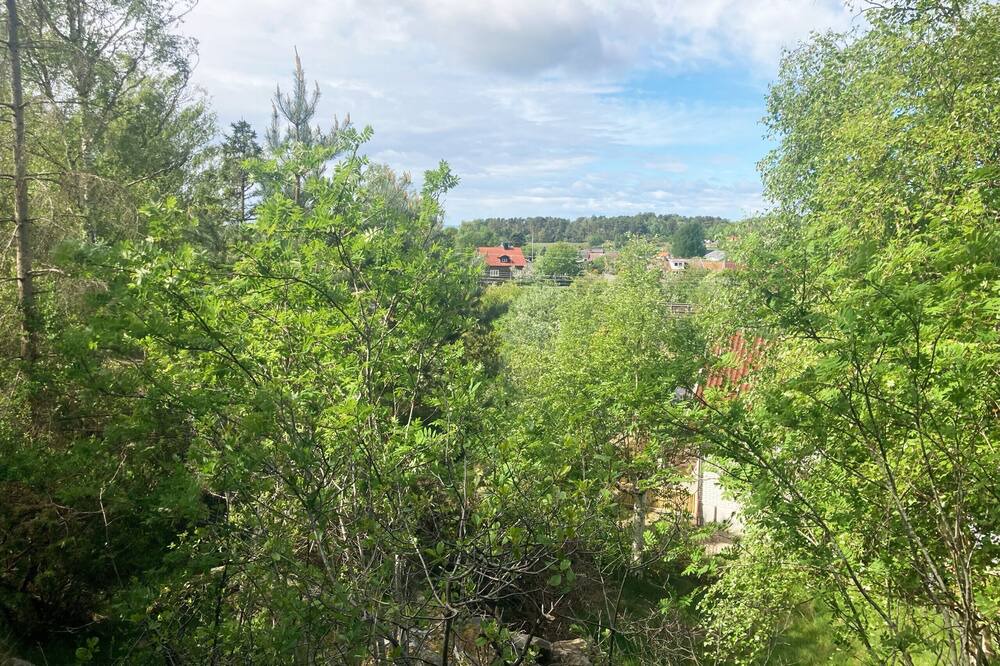 Photo of Others in Varberg Municipality
