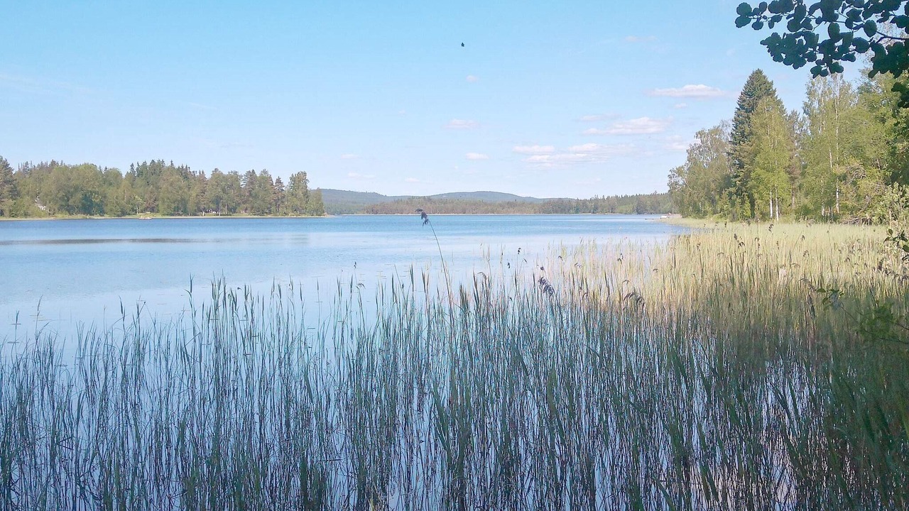 Photo of Others in Gunnarskog