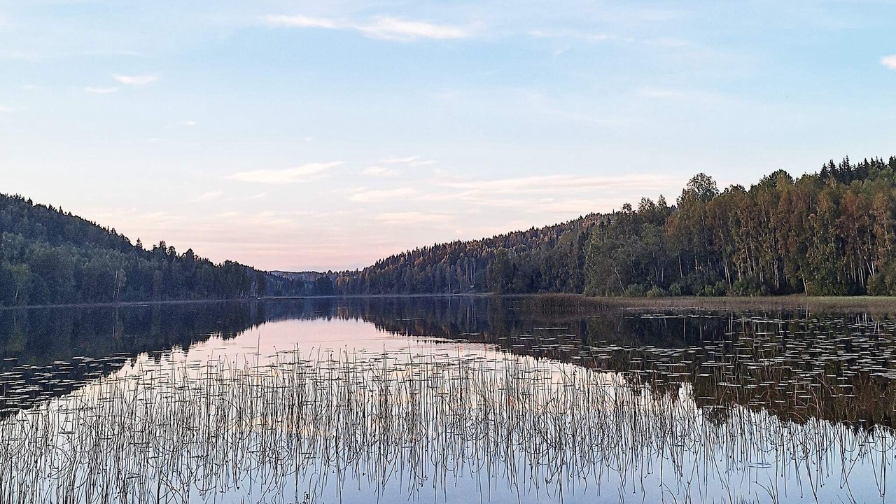 Photo of Others in Gunnarskog
