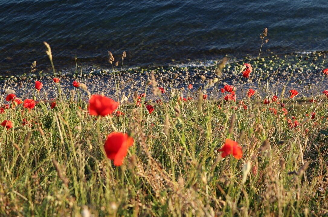 Photo of Others in Ystad