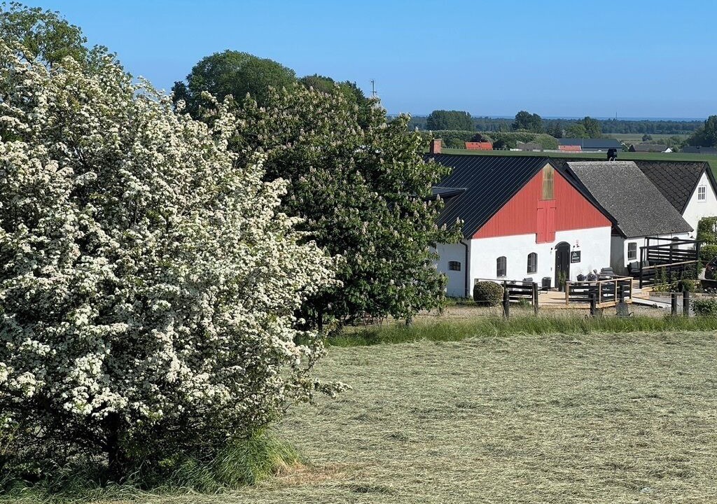 Photo of Outdoor in Ystad