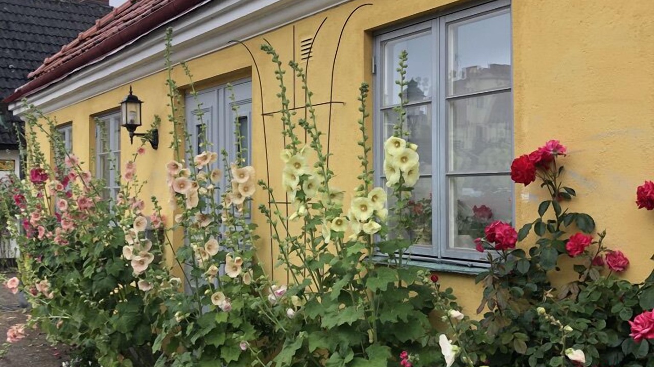 Photo of Others in Ystad