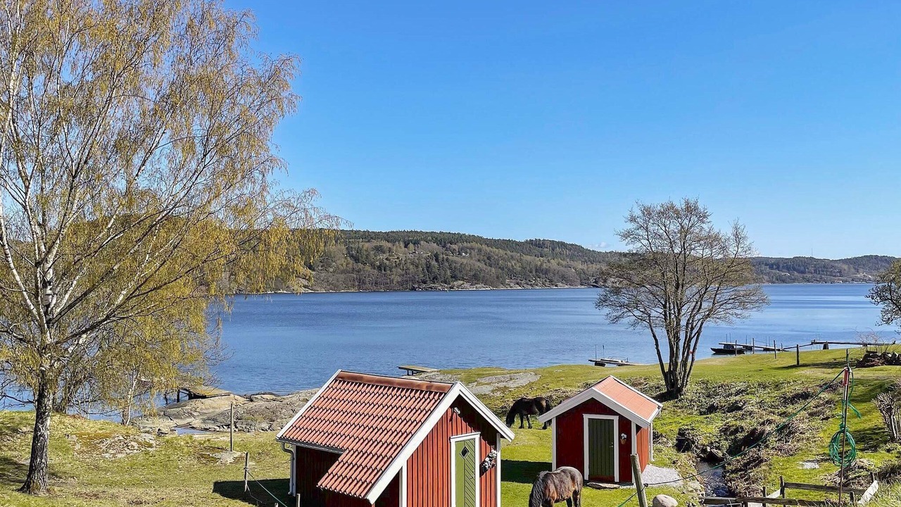 Photo of Outdoor in Stillingson