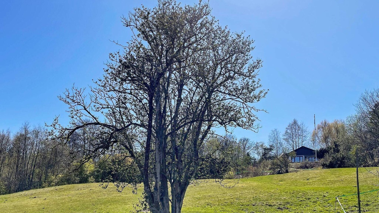 Photo of Outdoor in Stillingson