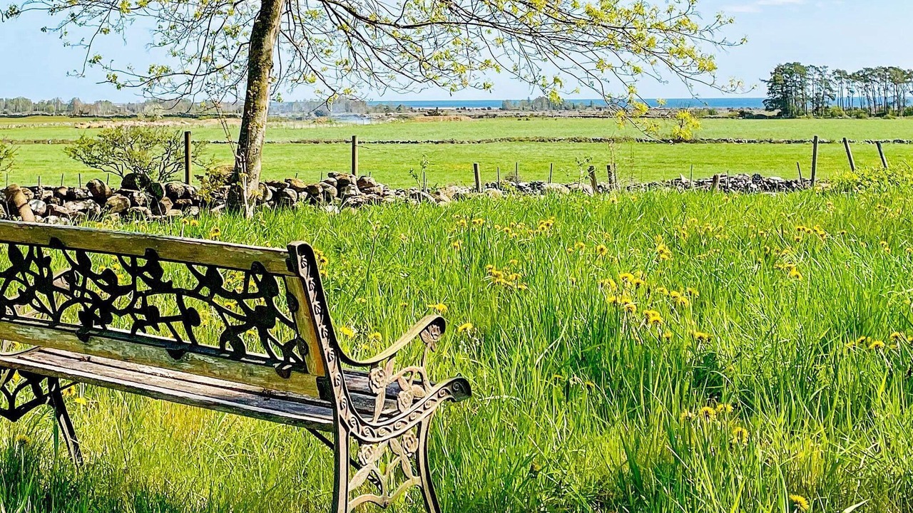 Photo of Outdoor in Storlinge