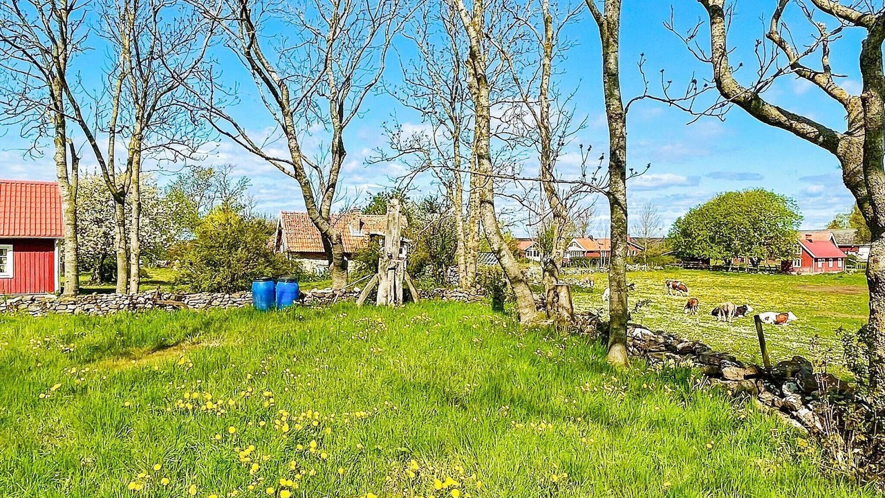 Photo of Outdoor in Storlinge