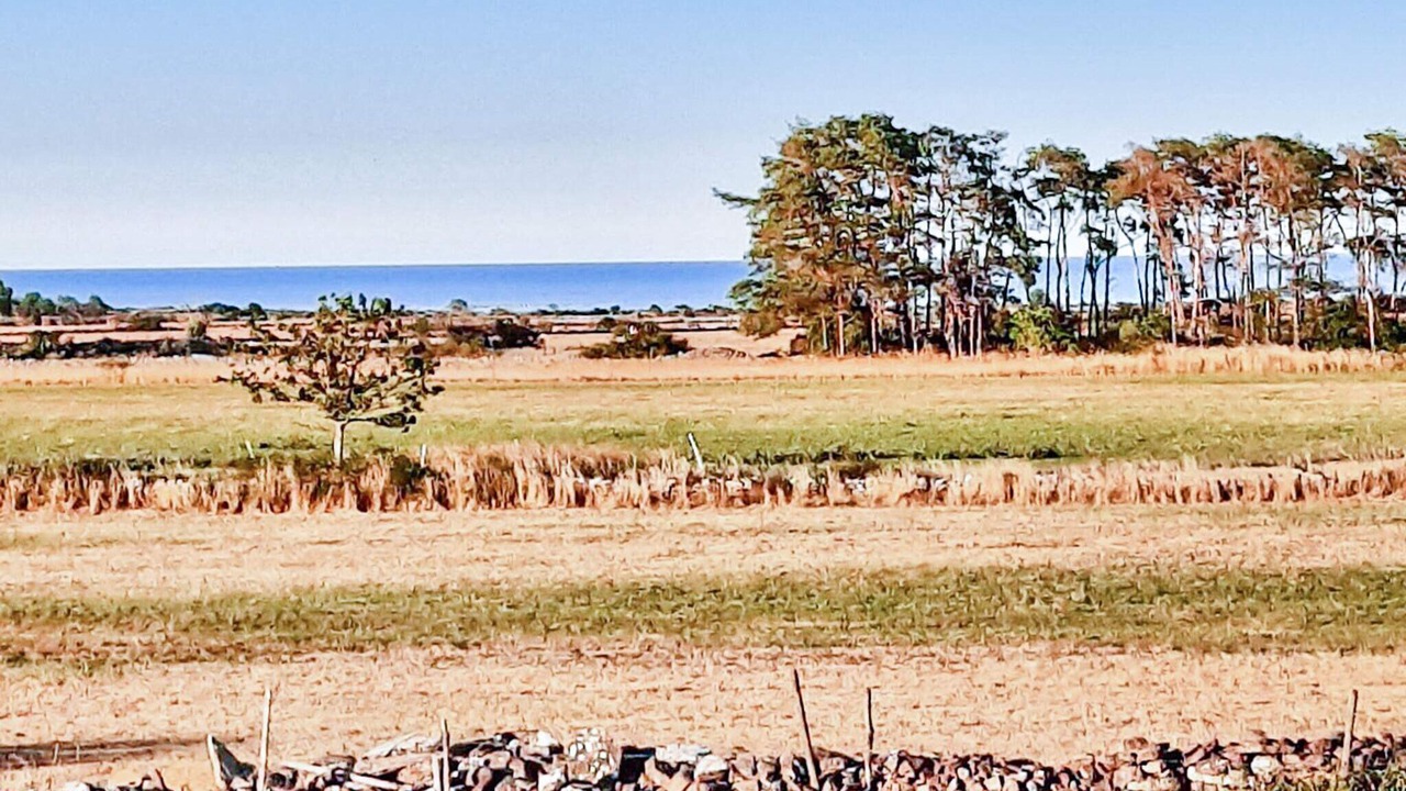 Photo of Outdoor in Storlinge