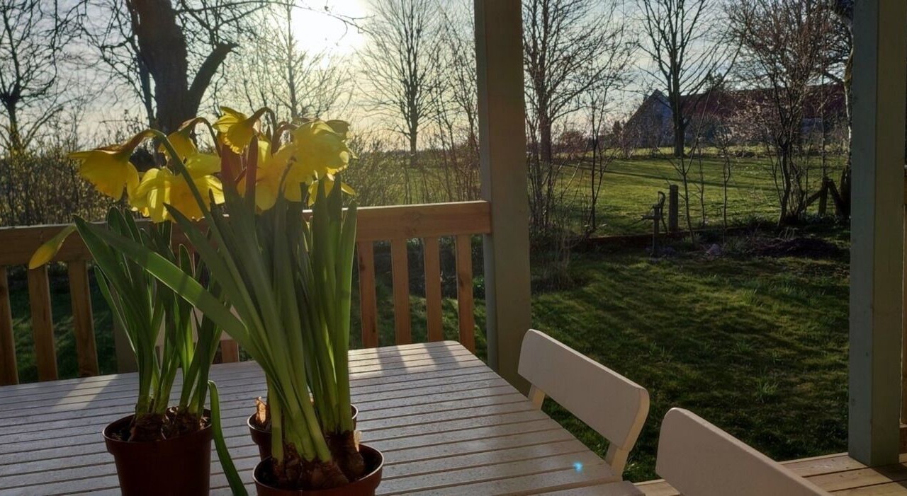 Photo of Outdoor in Garsnas