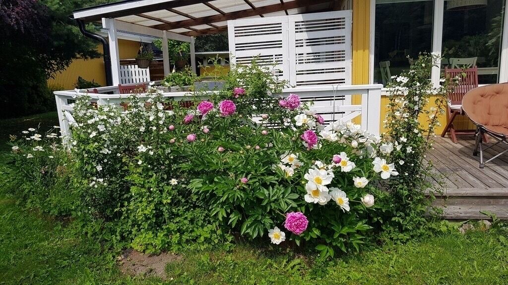 Photo of Outdoor in Sigtuna