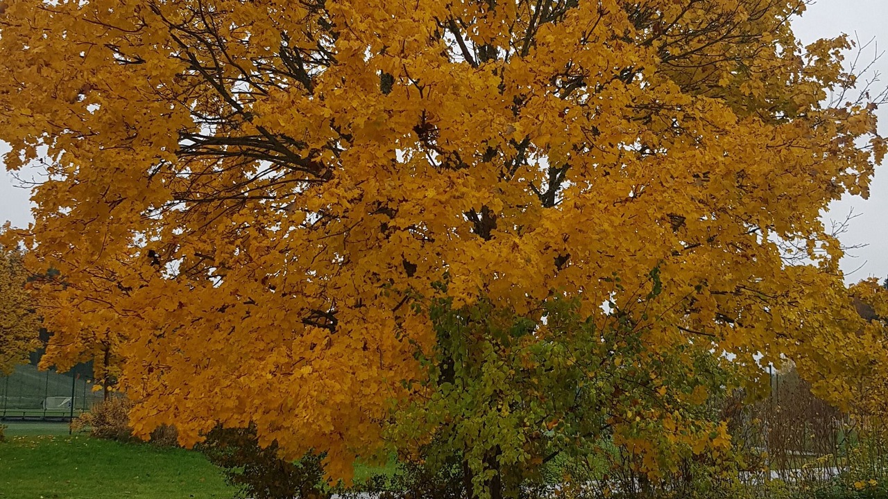Photo of Outdoor in Sigtuna