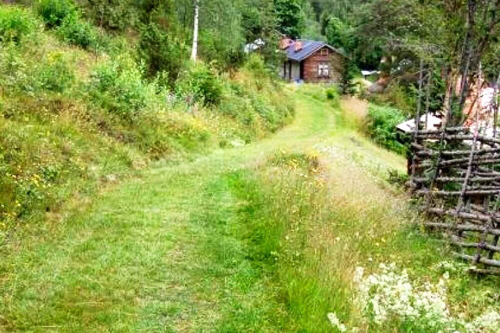 Photo of Outdoor in Gagnef