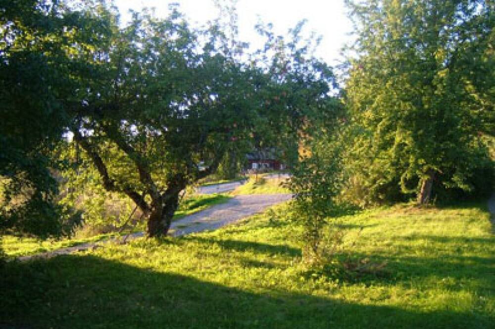 Photo of Others in Bergshamra