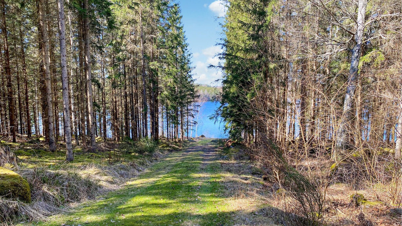 Photo of Outdoor in Horn