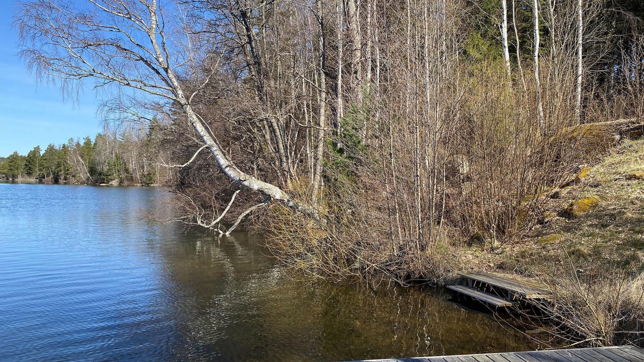 Photo of Outdoor in Horn