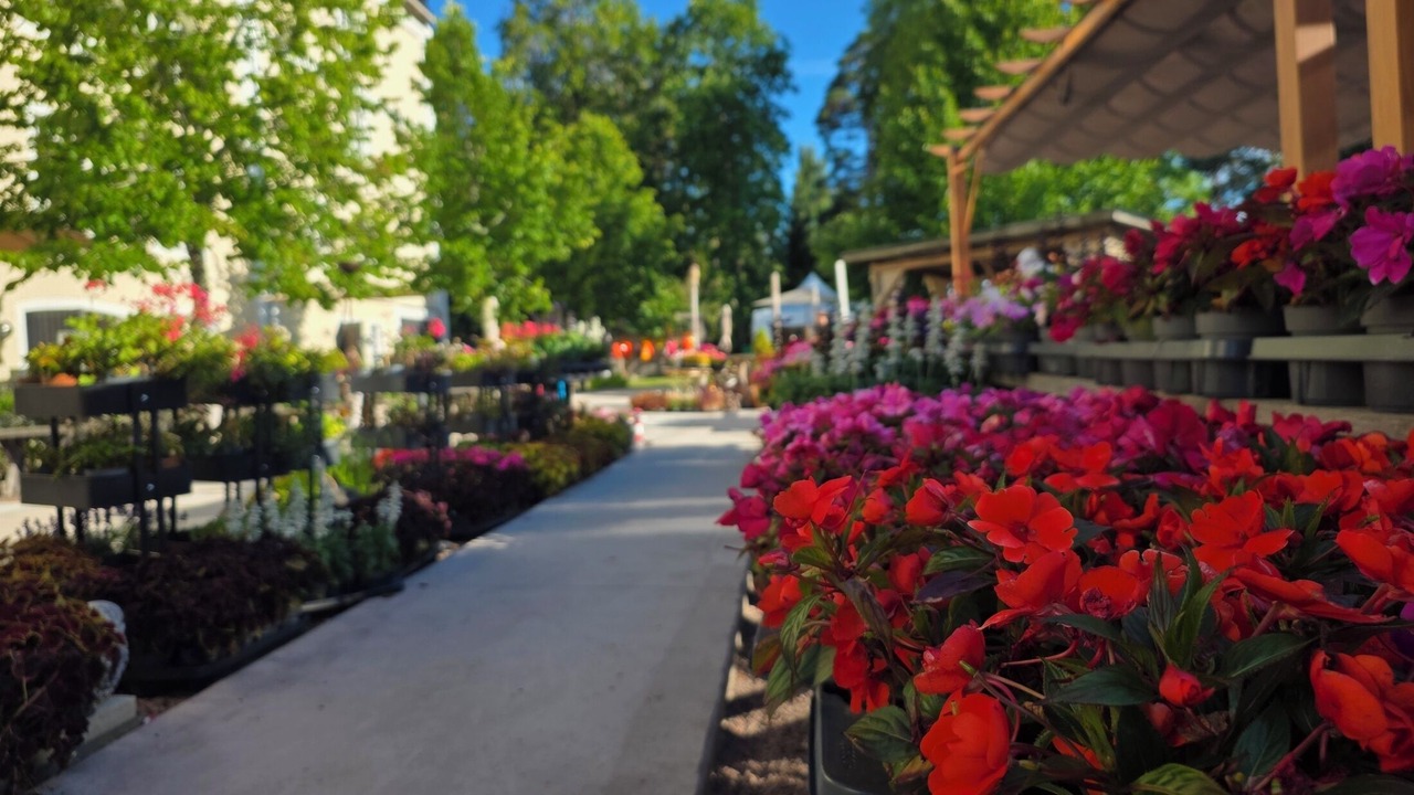 Photo of Outdoor in Lyrestad