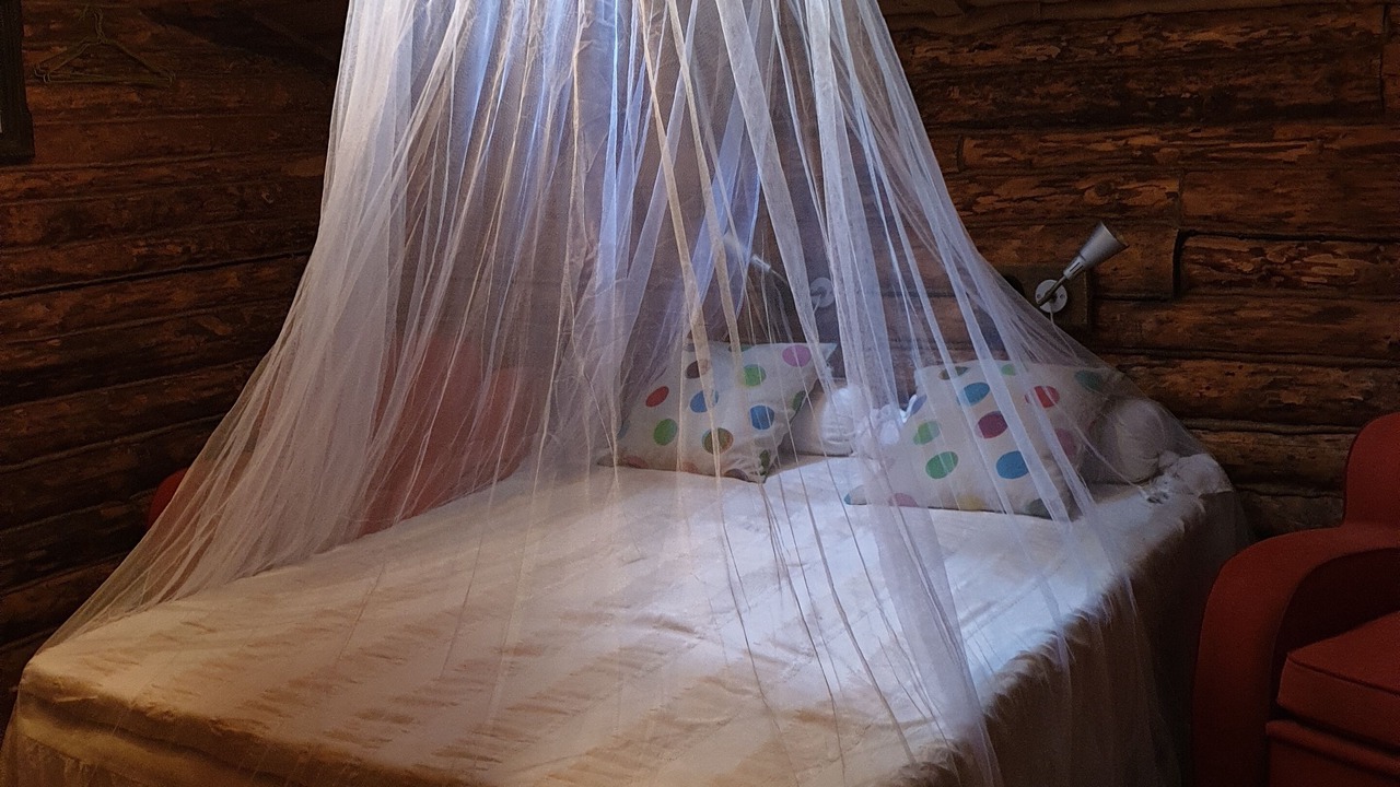 Photo of Bedroom in Listarum