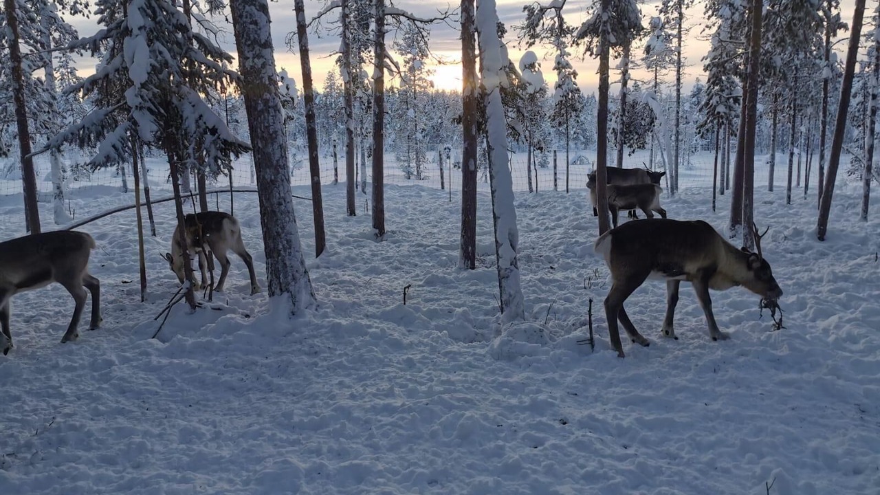 Photo of Outdoor in Vidsel
