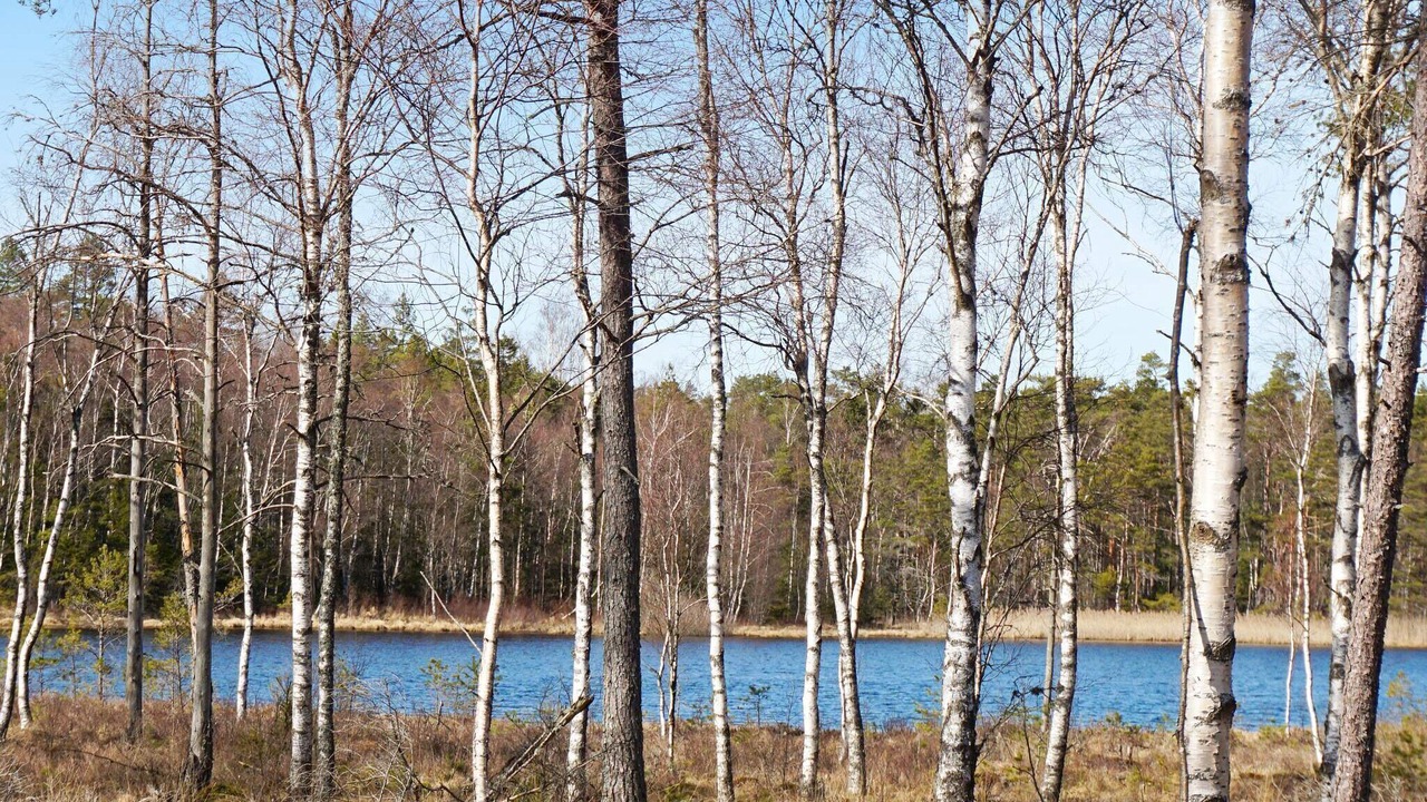 Photo of Others in Stromstad O