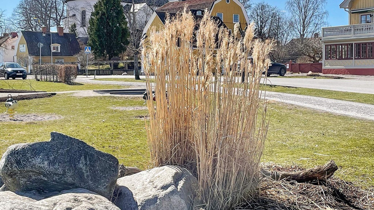Photo of Outdoor in Slottsbrinken
