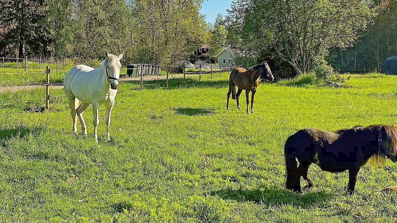 Photo of Others in Sodersvik