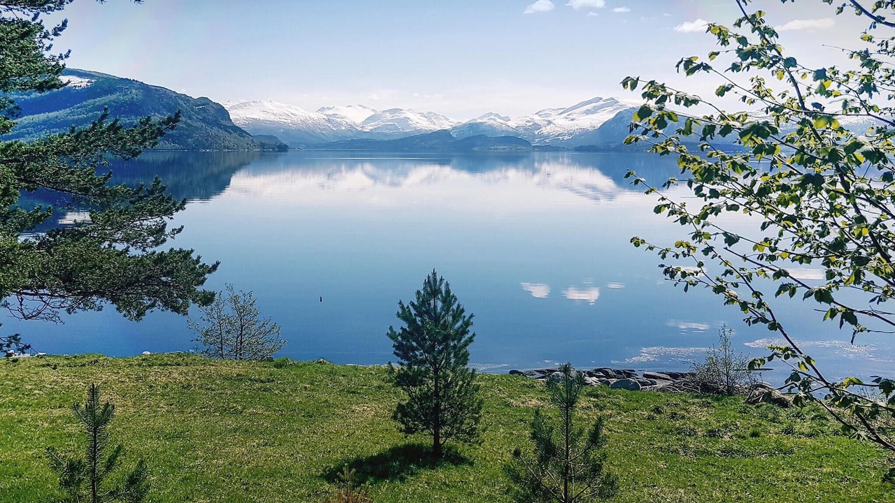 Photo of Others in Torjulvagen