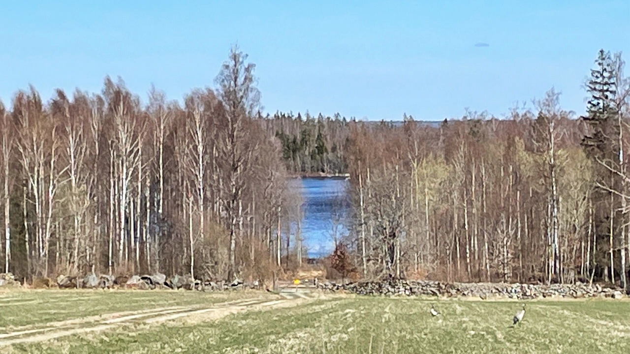 Photo of Outdoor in Urshult