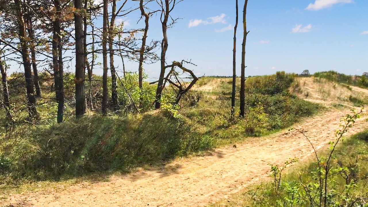 Photo of Outdoor in Halmstad