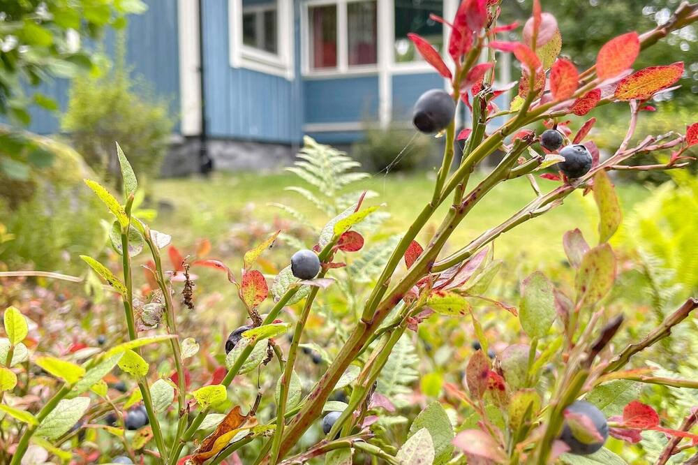 Photo of Outdoor in Karlshamn